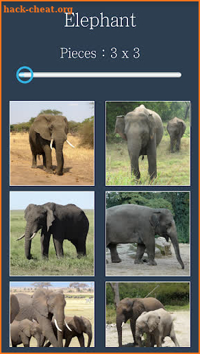 Jigsaw Puzzle VIP: Elephant screenshot