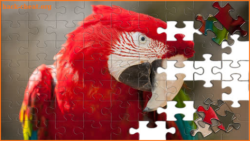 Jigsaw Puzzles Animals Classic screenshot