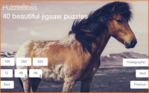 Jigsaw Puzzles: Horses screenshot