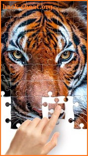 Jigsaw1000 - Jigsaw puzzles screenshot