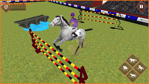 Jumping Horse Race Show 2020 screenshot