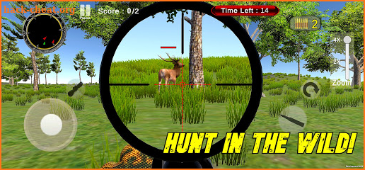 Jungle Hunt Safari 2021 screenshot