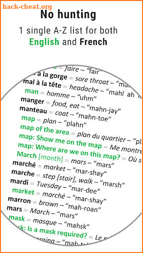 Just-in-Time French Phrasebook screenshot