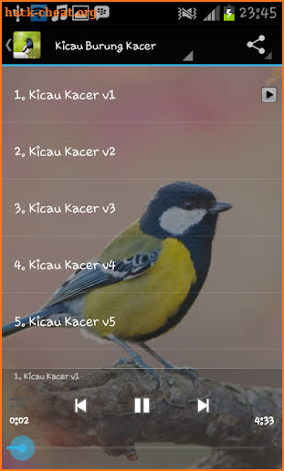 Kacer Birds screenshot
