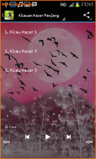 Kacer Birds screenshot