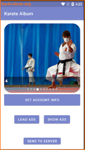 Karate Album screenshot
