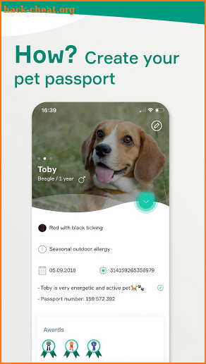 KeepPet - online vet for your pet screenshot