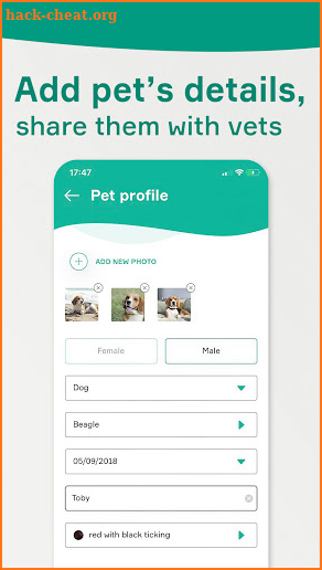 KeepPet - online vet for your pet screenshot