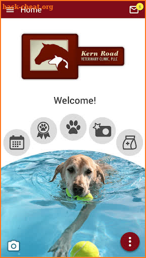 Kern Road Veterinary Clinic screenshot
