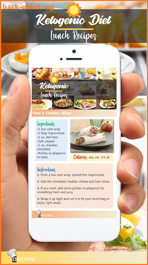 Ketogenic Lunch Recipes screenshot