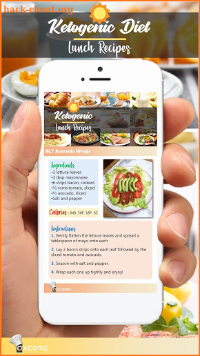 Ketogenic Lunch Recipes screenshot
