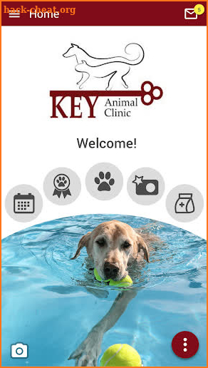Key Animal Clinic screenshot