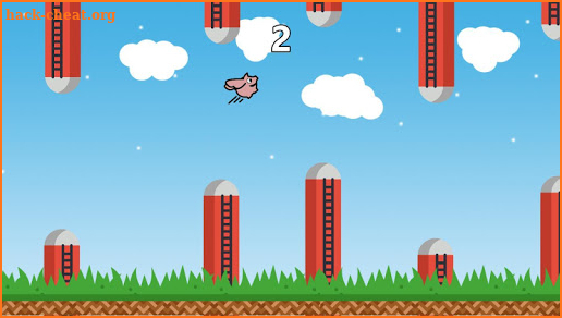 Kiddy Piggy Adventures screenshot