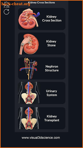 Kidney Anatomy screenshot