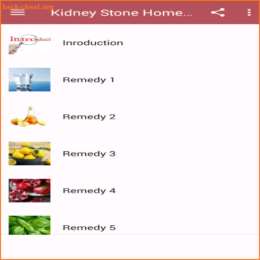 Kidney Stones Home Remedies screenshot