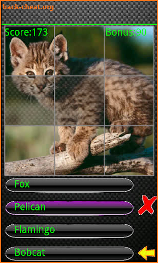 Kids Animal Quiz Pro screenshot