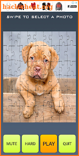 Kiki Puzzle Fifi New Pet screenshot