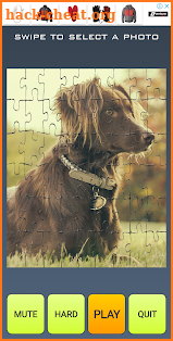 Kiki Puzzle Fifi New Pet screenshot