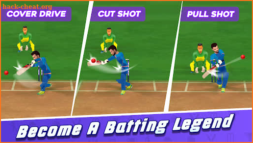 King Of Cricket Games screenshot