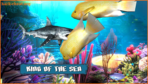 King of the Fish Tank: It's a fish eat fish world screenshot