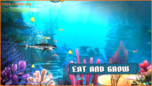 King of the Fish Tank: It's a fish eat fish world screenshot