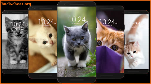 😻 Kitten & Cute Cat Wallpaper HD 😻 screenshot