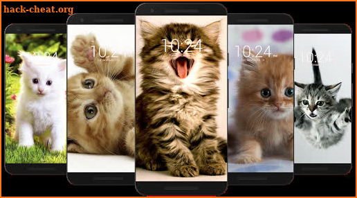 😻 Kitten & Cute Cat Wallpaper HD 😻 screenshot