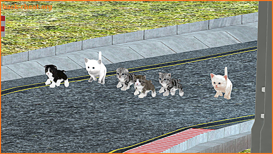 Kitten Cat Craft Racing:Cute Cat World Tournament screenshot