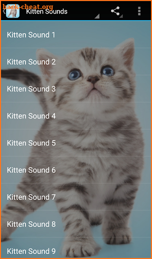 Kitten Sounds screenshot