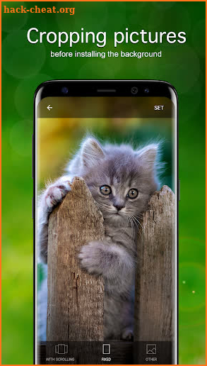 Kitten Wallpaper 4K screenshot