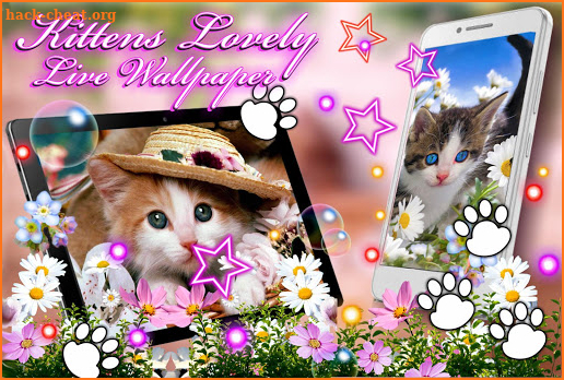 Kittens Lovely Live Wallpaper screenshot