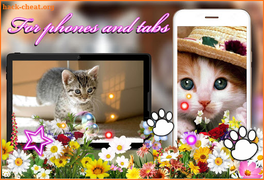 Kittens Lovely Live Wallpaper screenshot