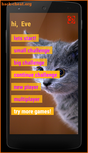 Kittens Memory Game with photos of cute kittens screenshot