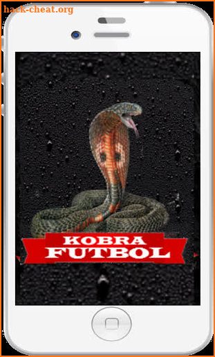 Kobra Futbol screenshot