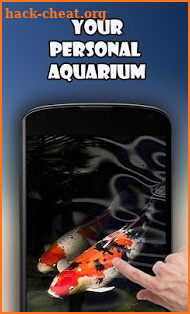 Koi - Aquarium screenshot