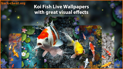 Koi Fish Live Wallpaper Themes screenshot