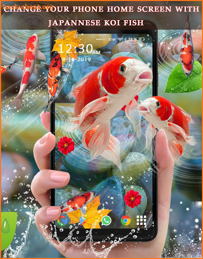Koi Fish Live Wallpapers | 3D Koi Fish Backgrounds screenshot