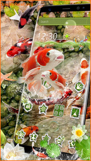 Koi fish themes screenshot