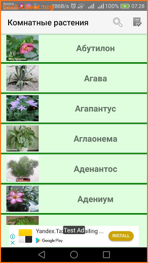 Комнатные растения screenshot