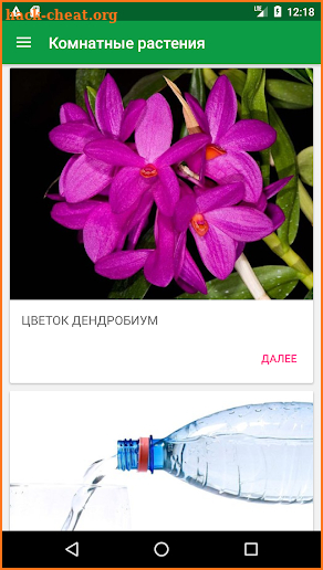 Комнатные растения и уход за цветами screenshot