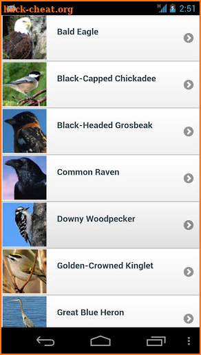 Kootenay Birds screenshot