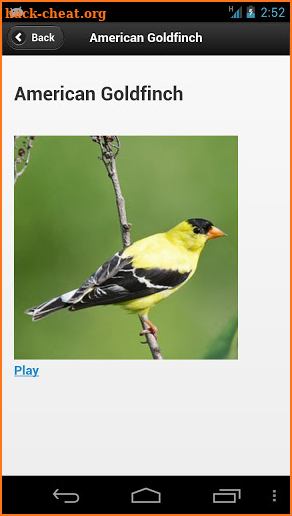 Kootenay Birds screenshot