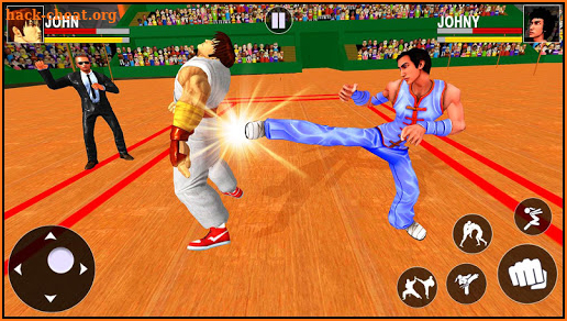 Kung Fu Karate Fighting: Tiger Tag Team King Fight screenshot