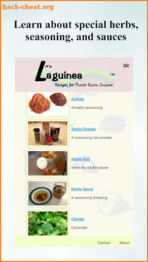 La Guinea Puerto Rican Recipes screenshot