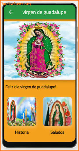 La Virgen de Guadalupe screenshot