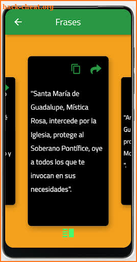 La Virgen de Guadalupe screenshot