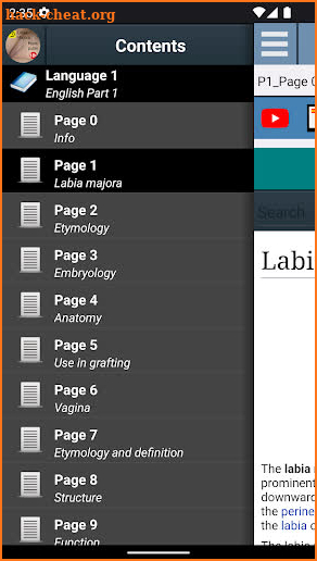 Labia Majora Anatomy screenshot