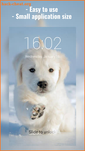Labrador Lock Screen screenshot