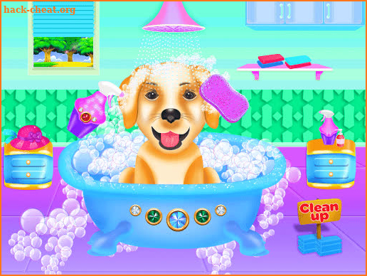 Labrador Pet Dog Daycare screenshot