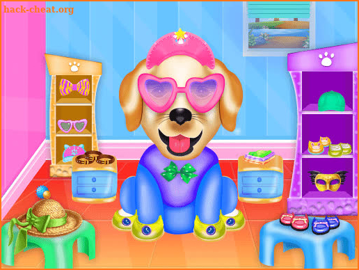 Labrador Pet Dog Daycare screenshot
